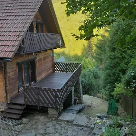 木屋 Dom W Beskidach *